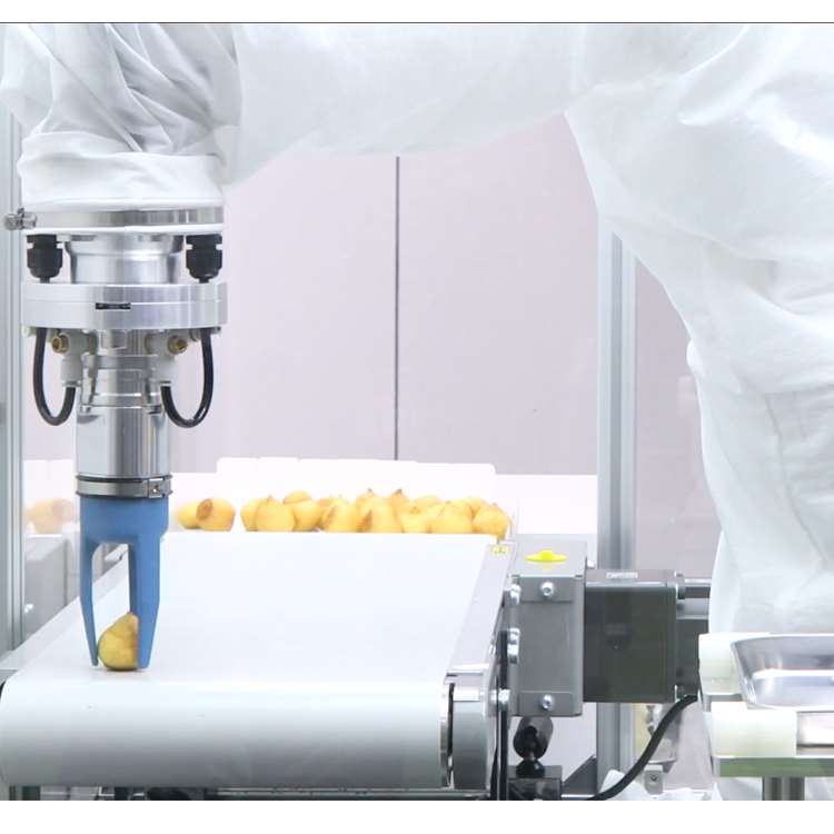 ذراع روبوتية CNC سداسية المحاو - مراجعة Linear Rail وسعره